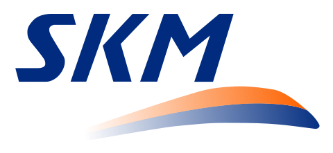 Director of the Finance Department